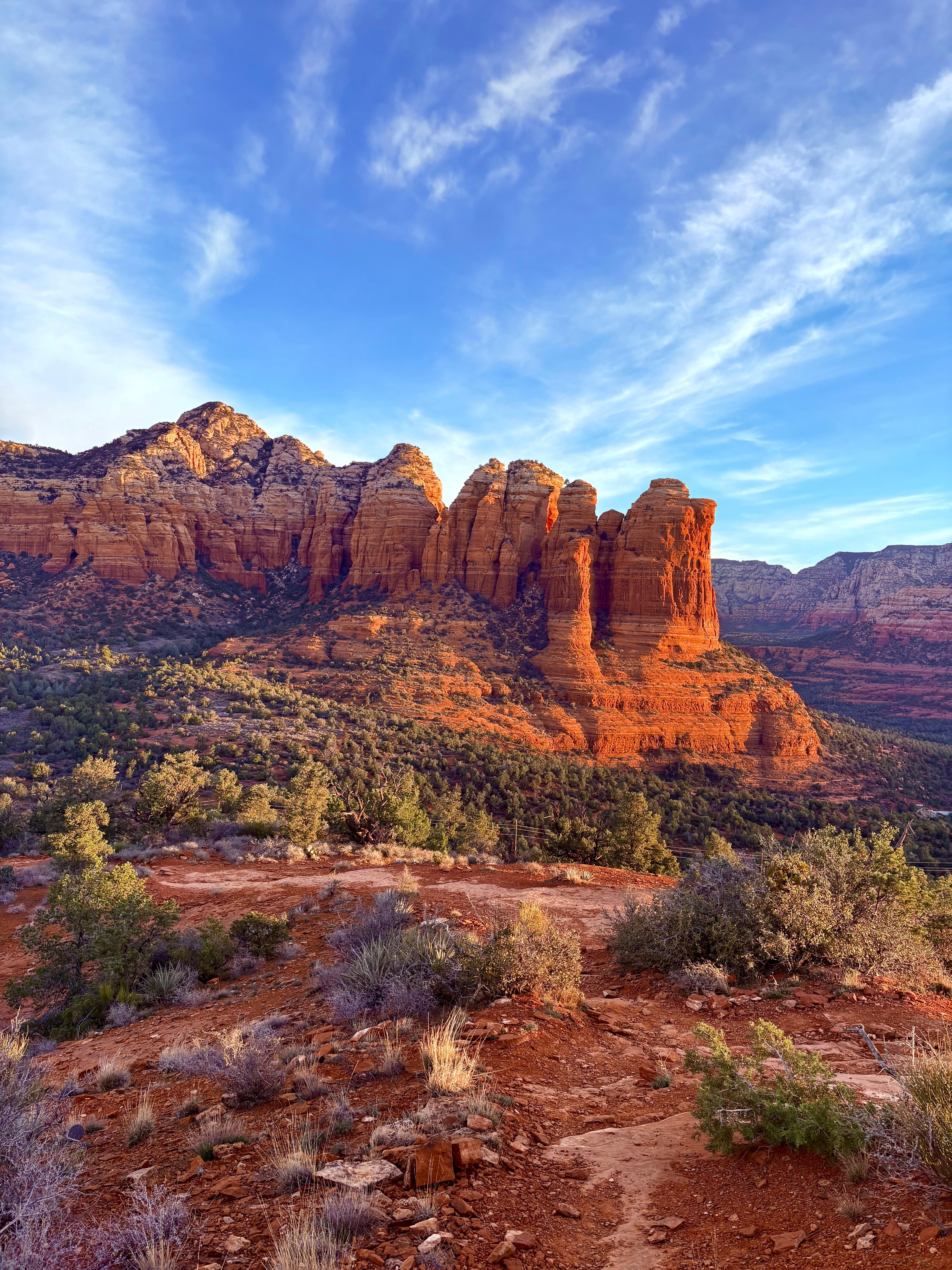 View of coffee pot formation from backyard 
