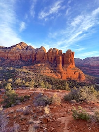 View of coffee pot formation from backyard