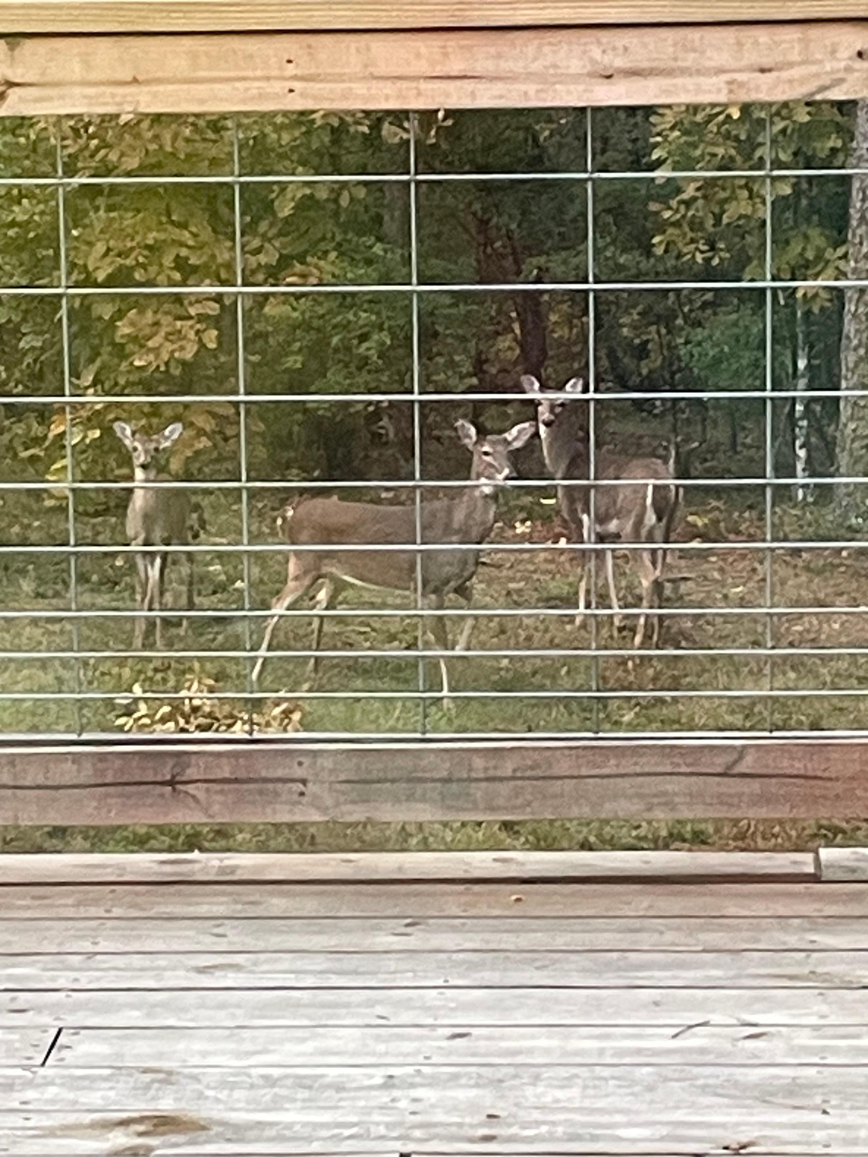 Right in the backyard 