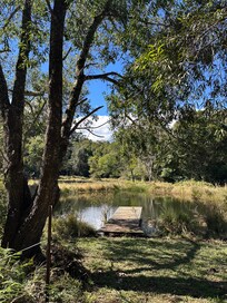 Lots of beautiful walks around the property.