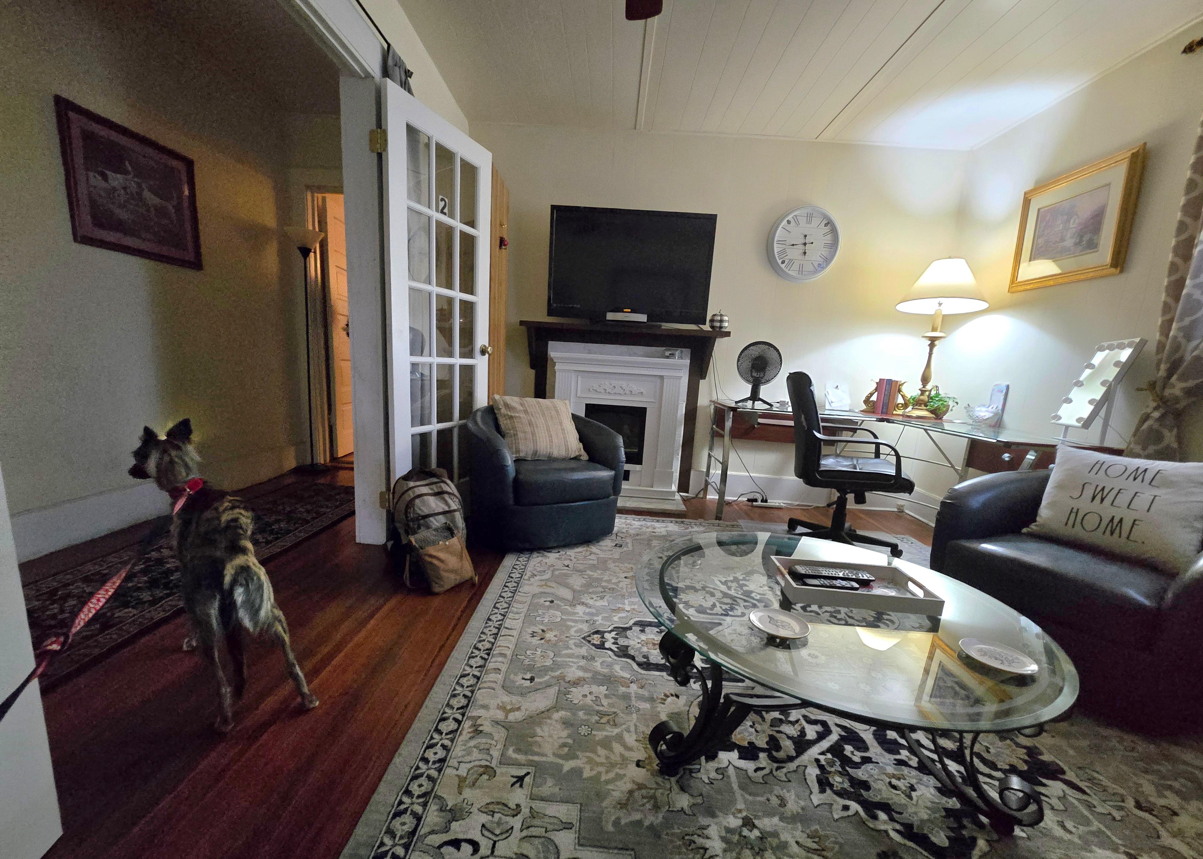 Our dog checking out the living room.