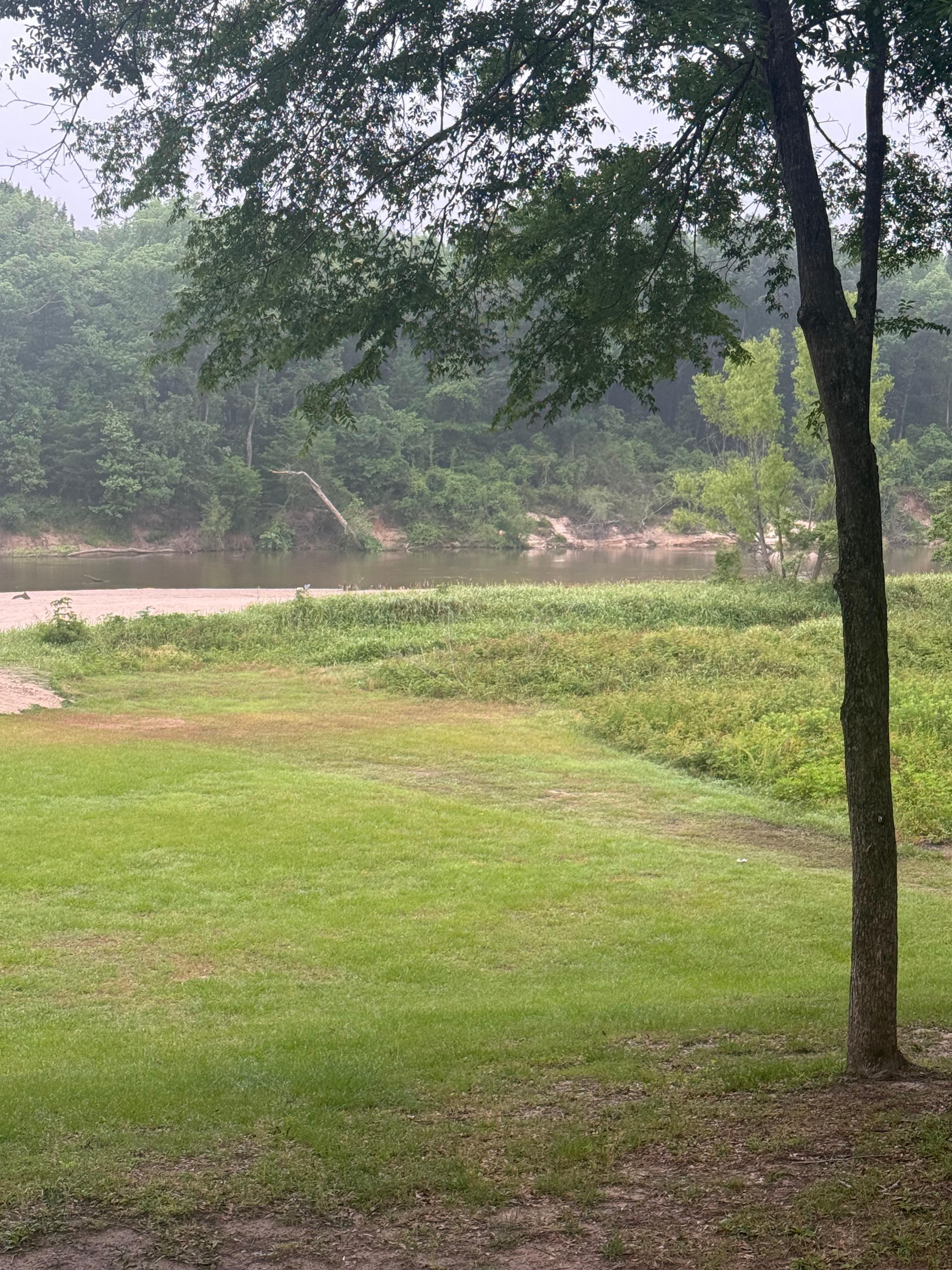 View from the porch!