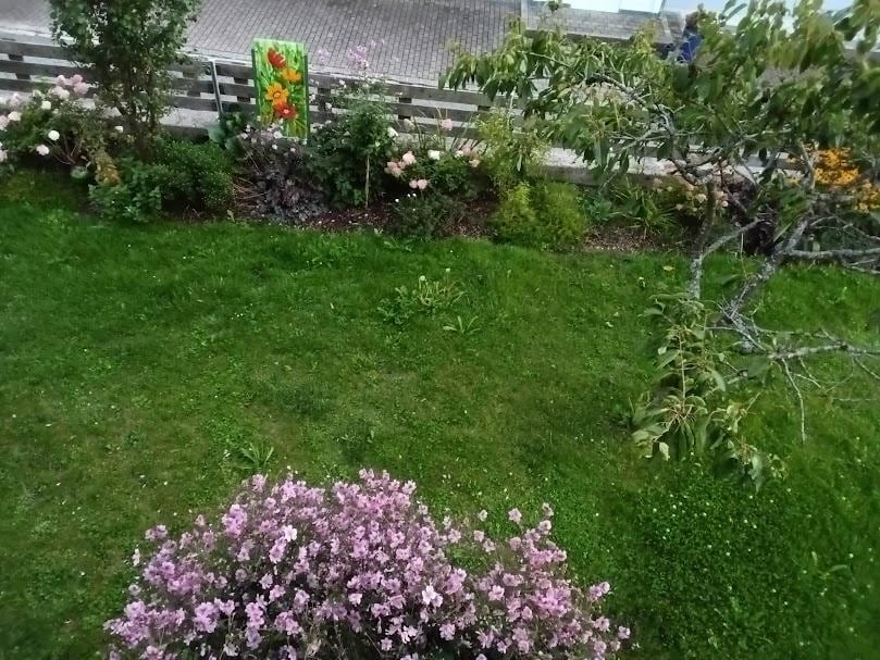 Der Blick in den Garten von unserem Balkon aus. Wunderschöne Blumen, herrliche Natur.