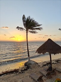 The view outside of our sliding glass door