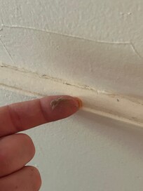 Filth on walls and woodwork