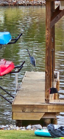 Bird fishing off the dock