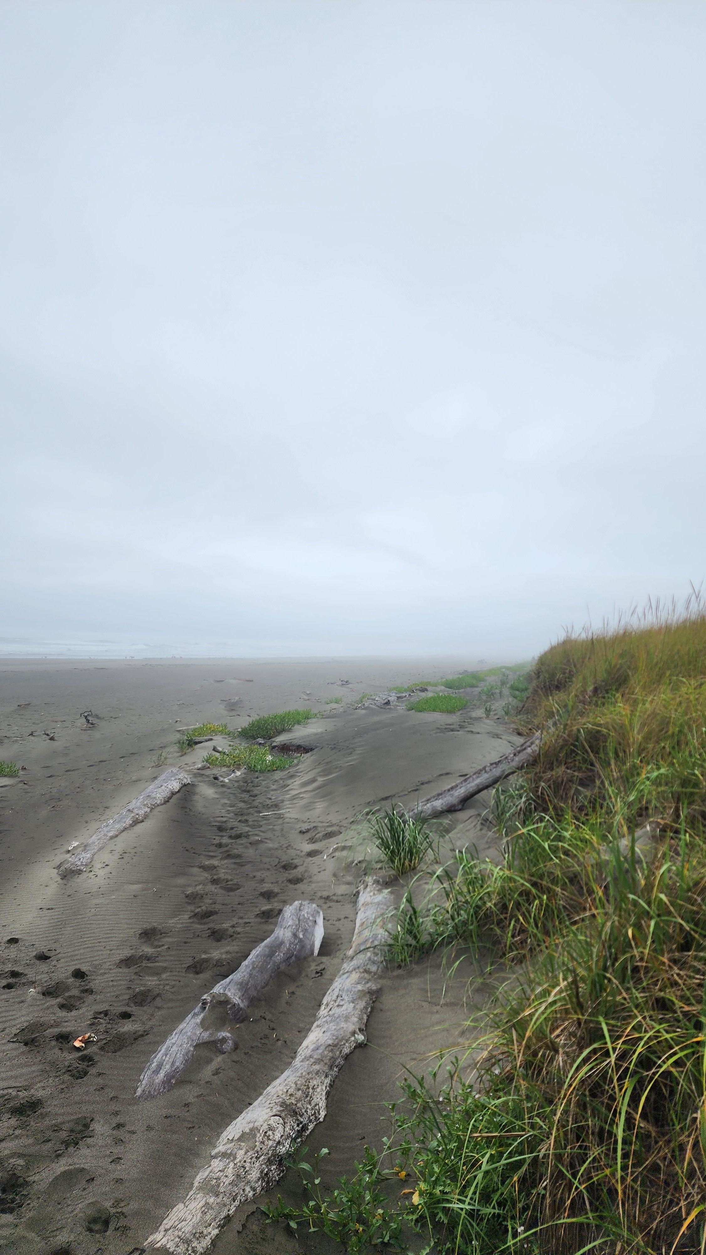 Ocean Shores south beach