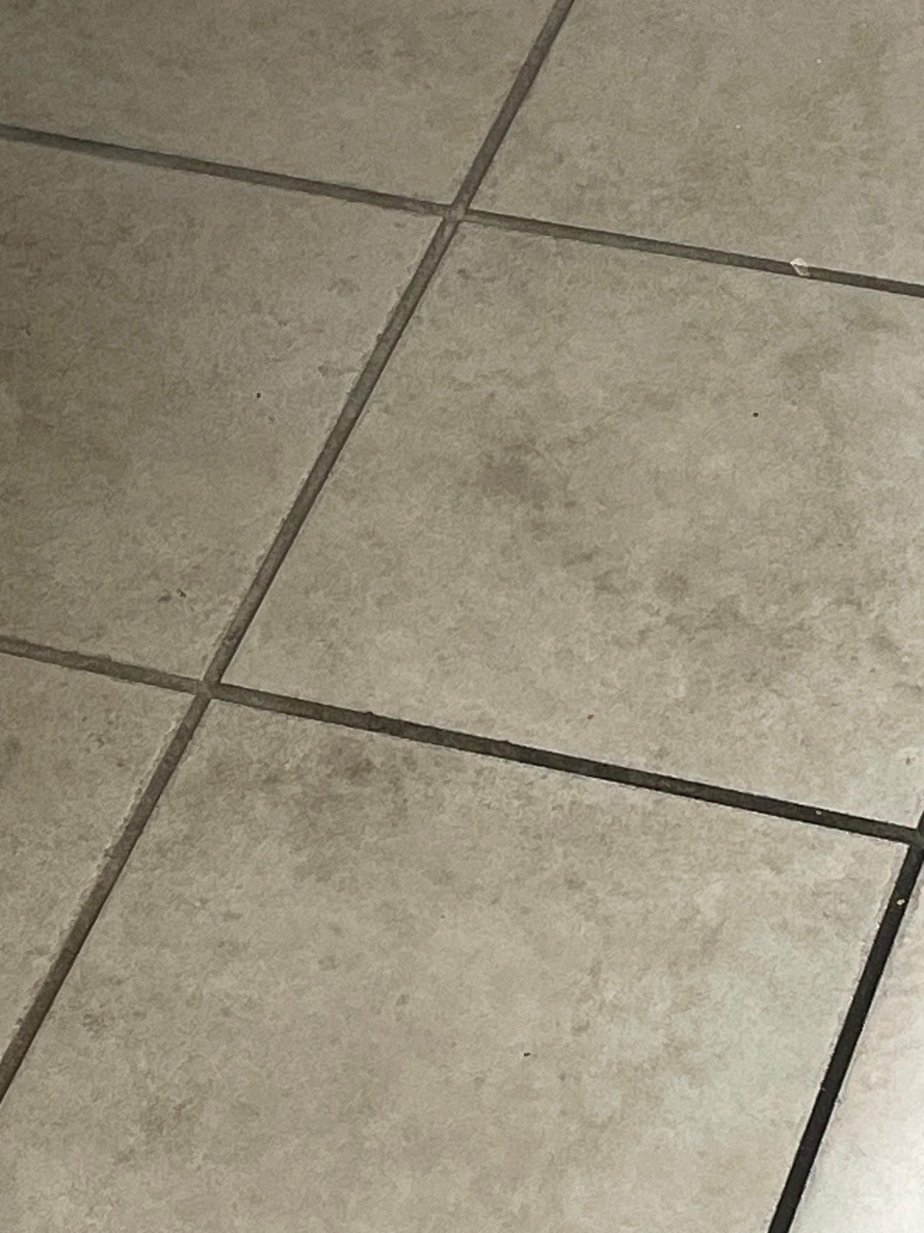 Dirty bathroom floor upon arrival 