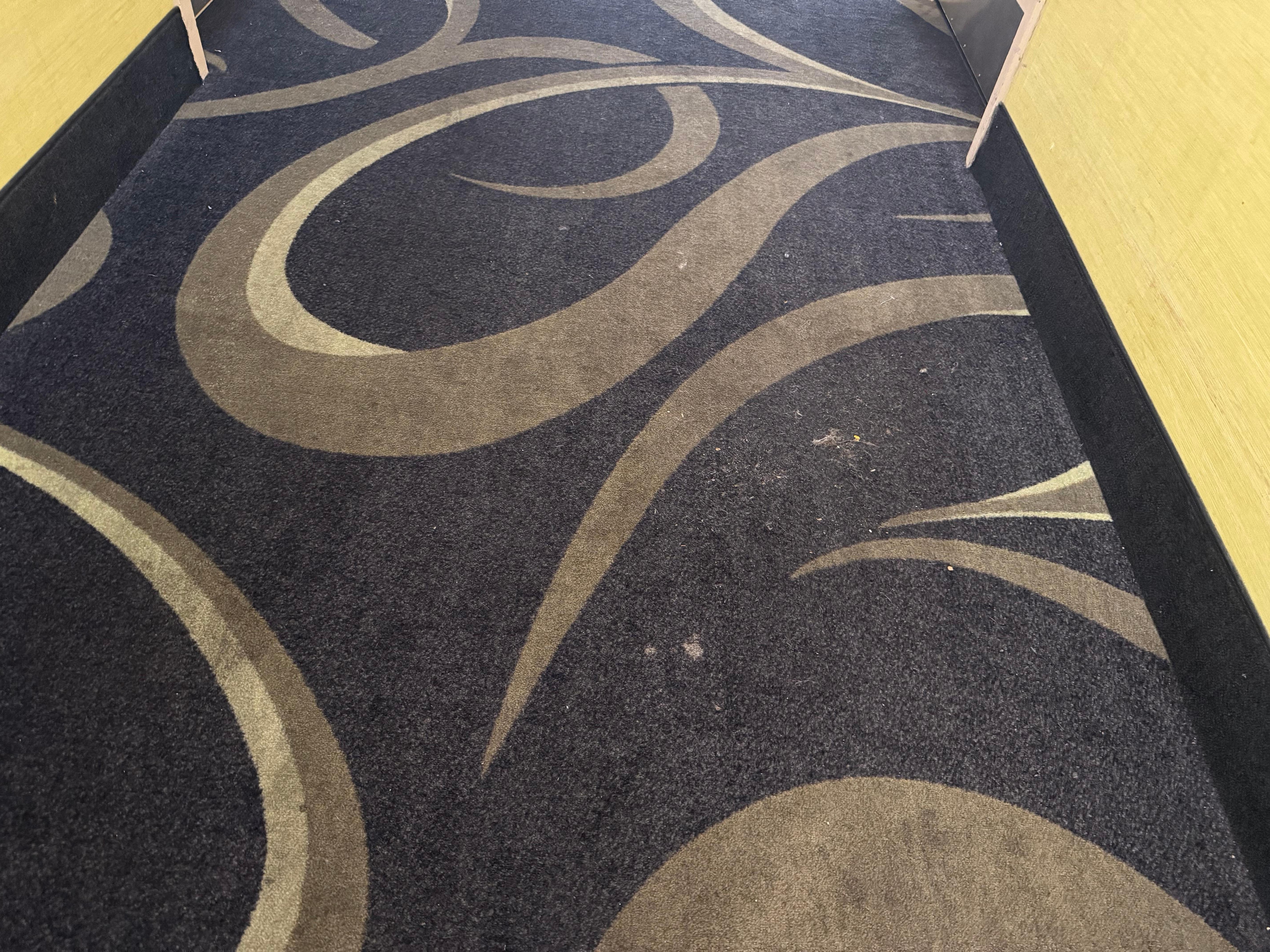 Carpet was never vacuumed during our stay