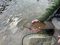 Back country fishing
