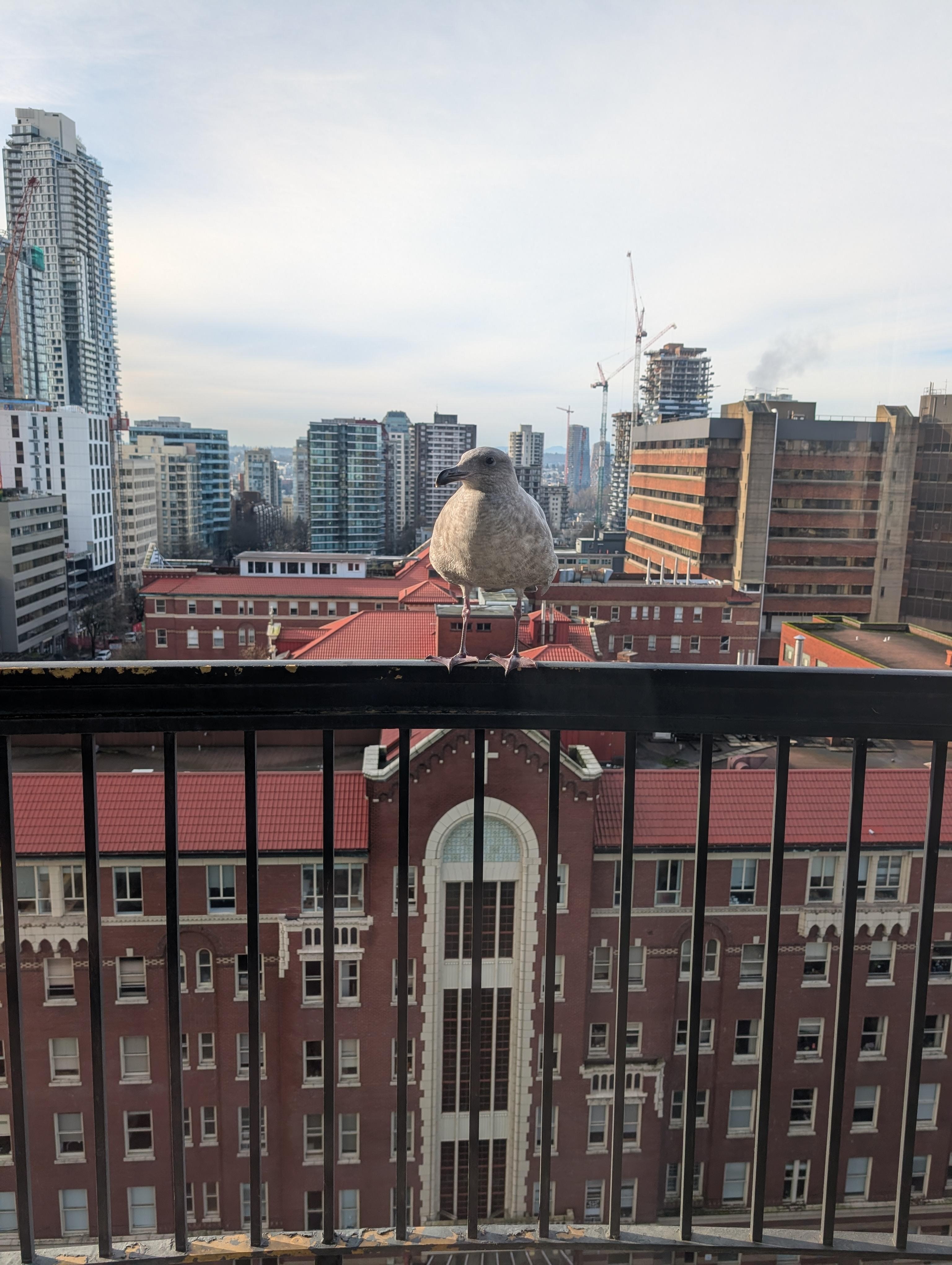 Amazing views.of Vancouver From the balcony 