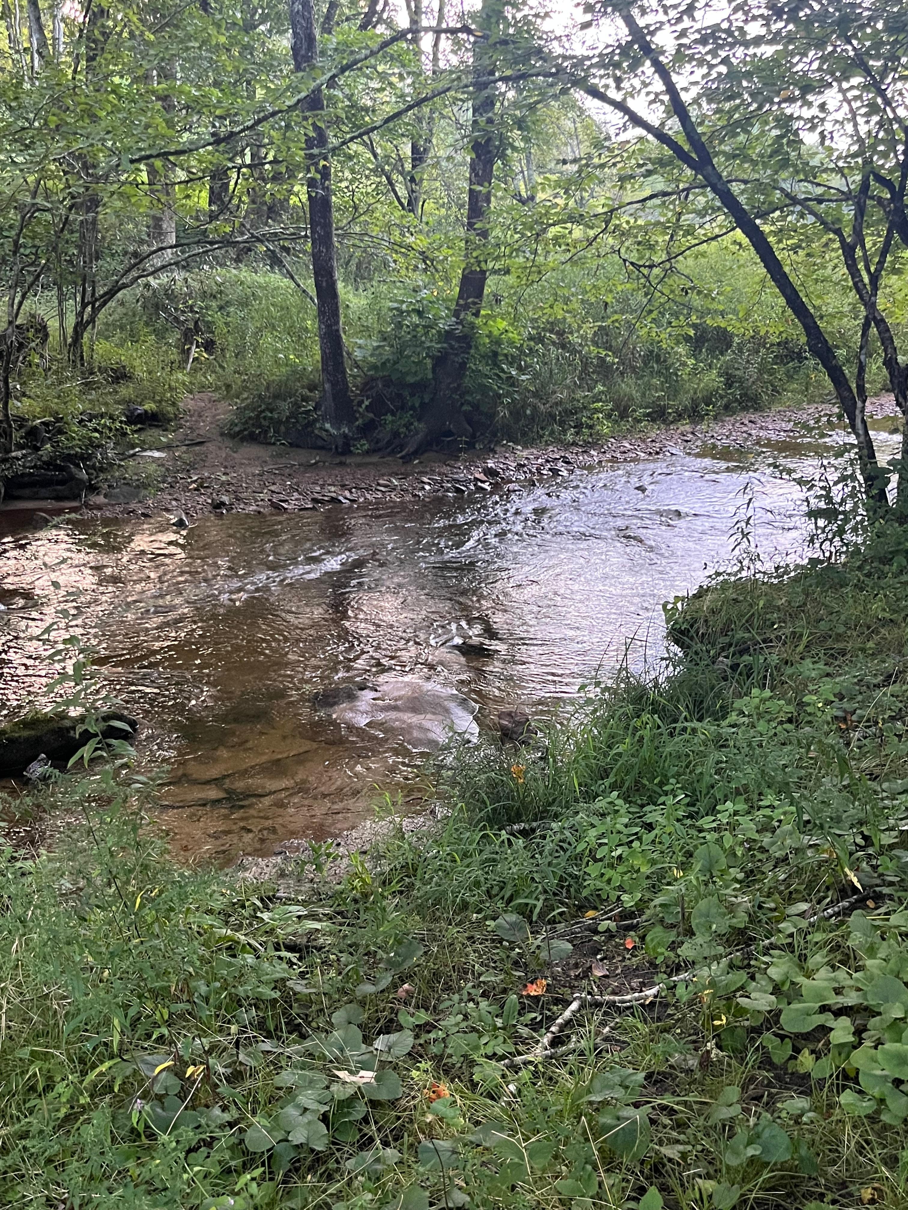 One of 1000 pics of the running creeks and streams