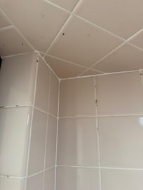 Mould in shower