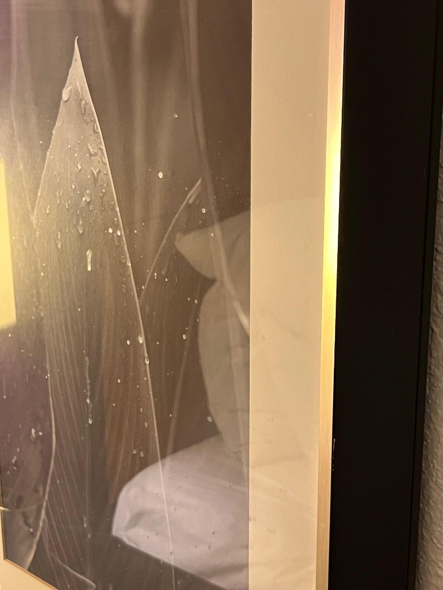 Picture next to bed with what appears to be bodily fluid drips