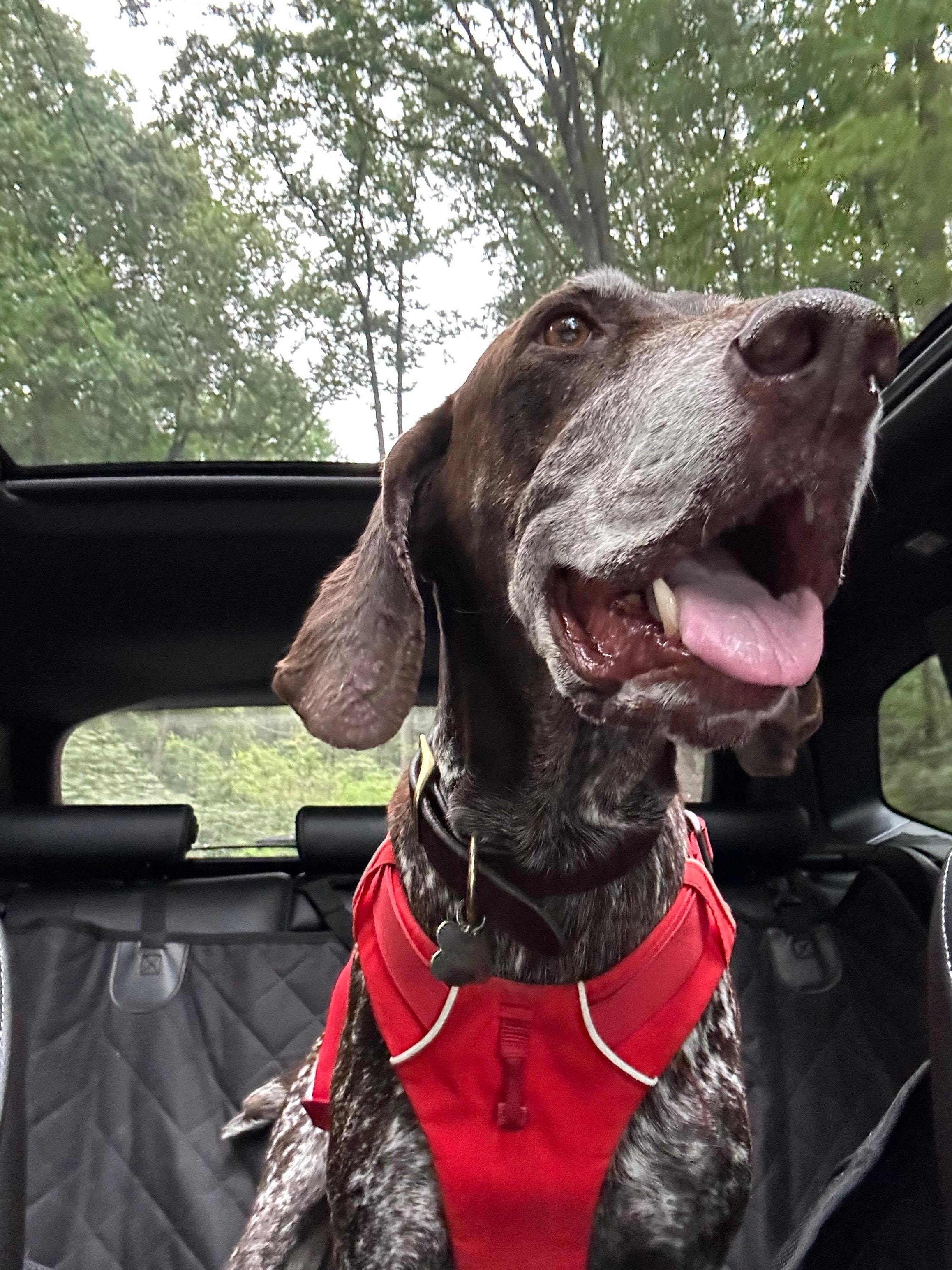 Can’t wait to see the Hampton Inn Team! 