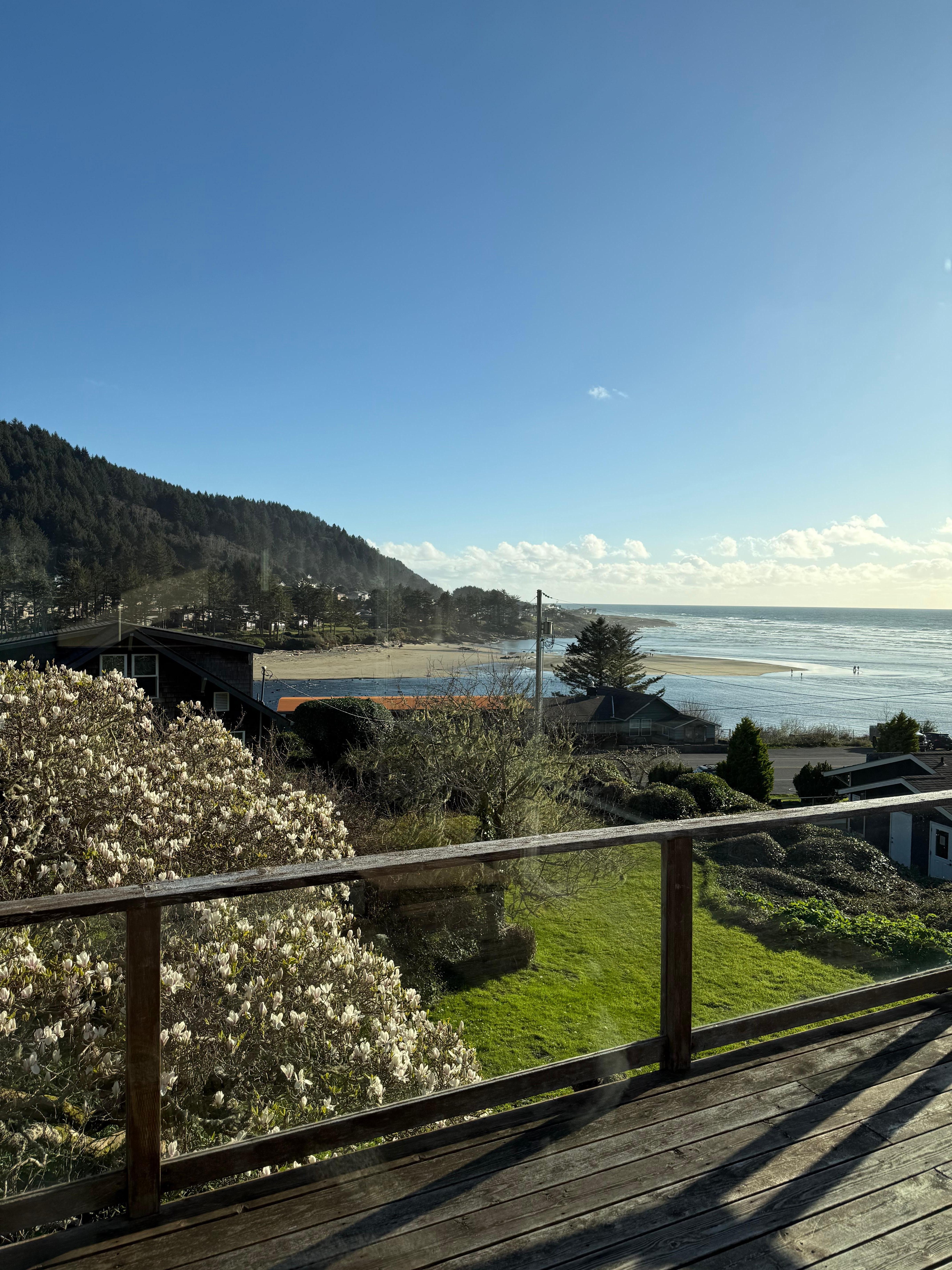 View from the side window of the living room. 