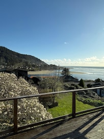 View from the side window of the living room.