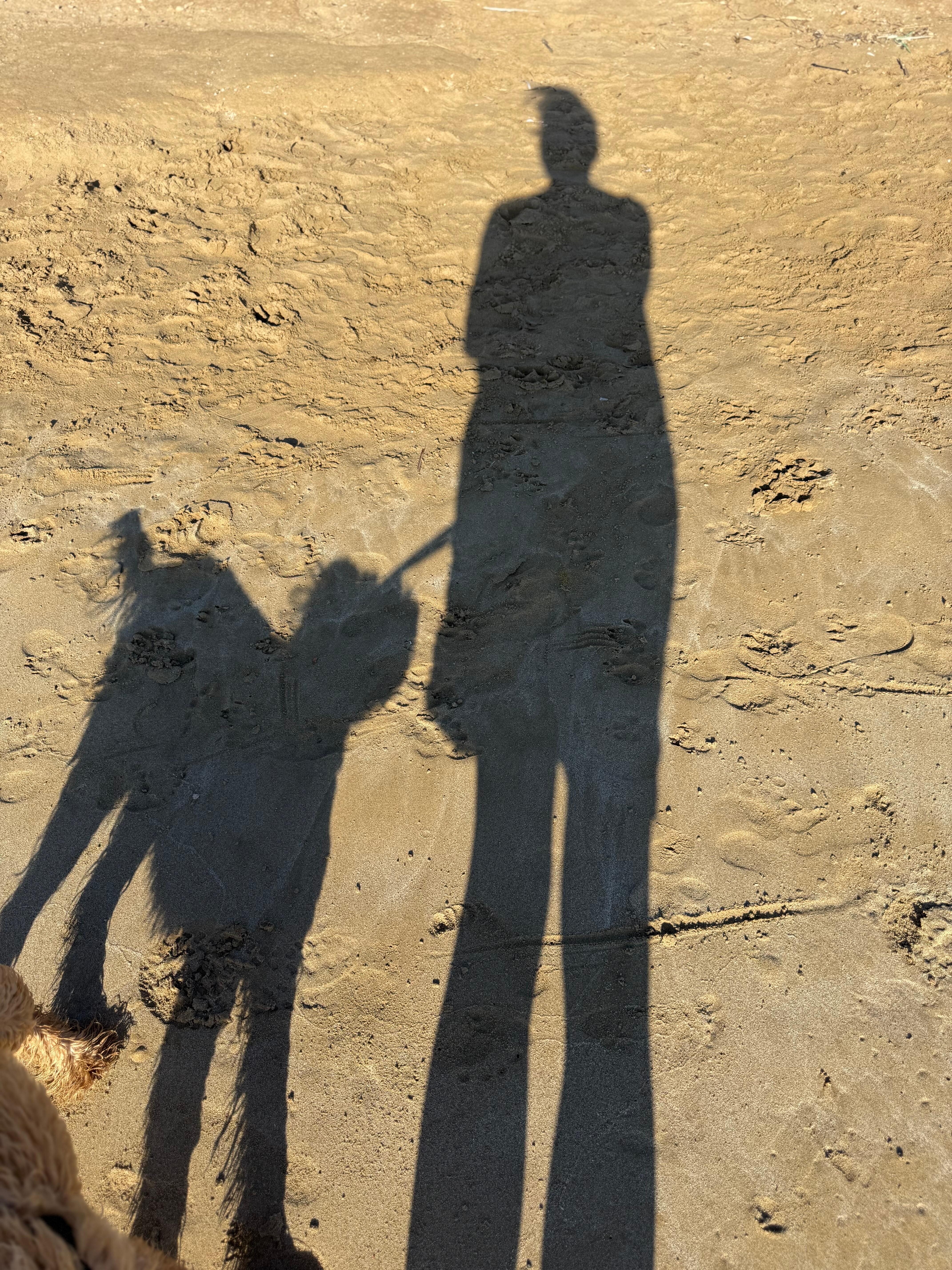 A girl and her puppy