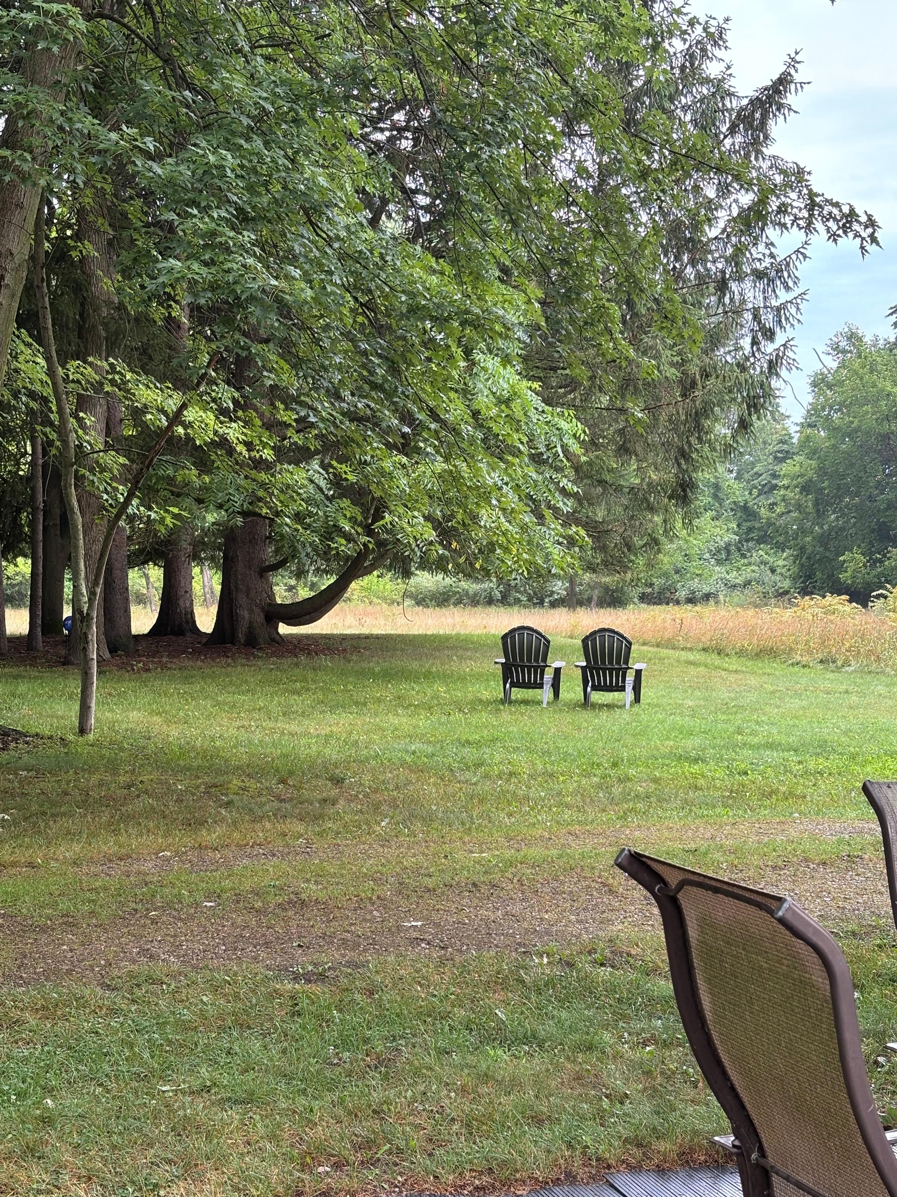 View from back porch 