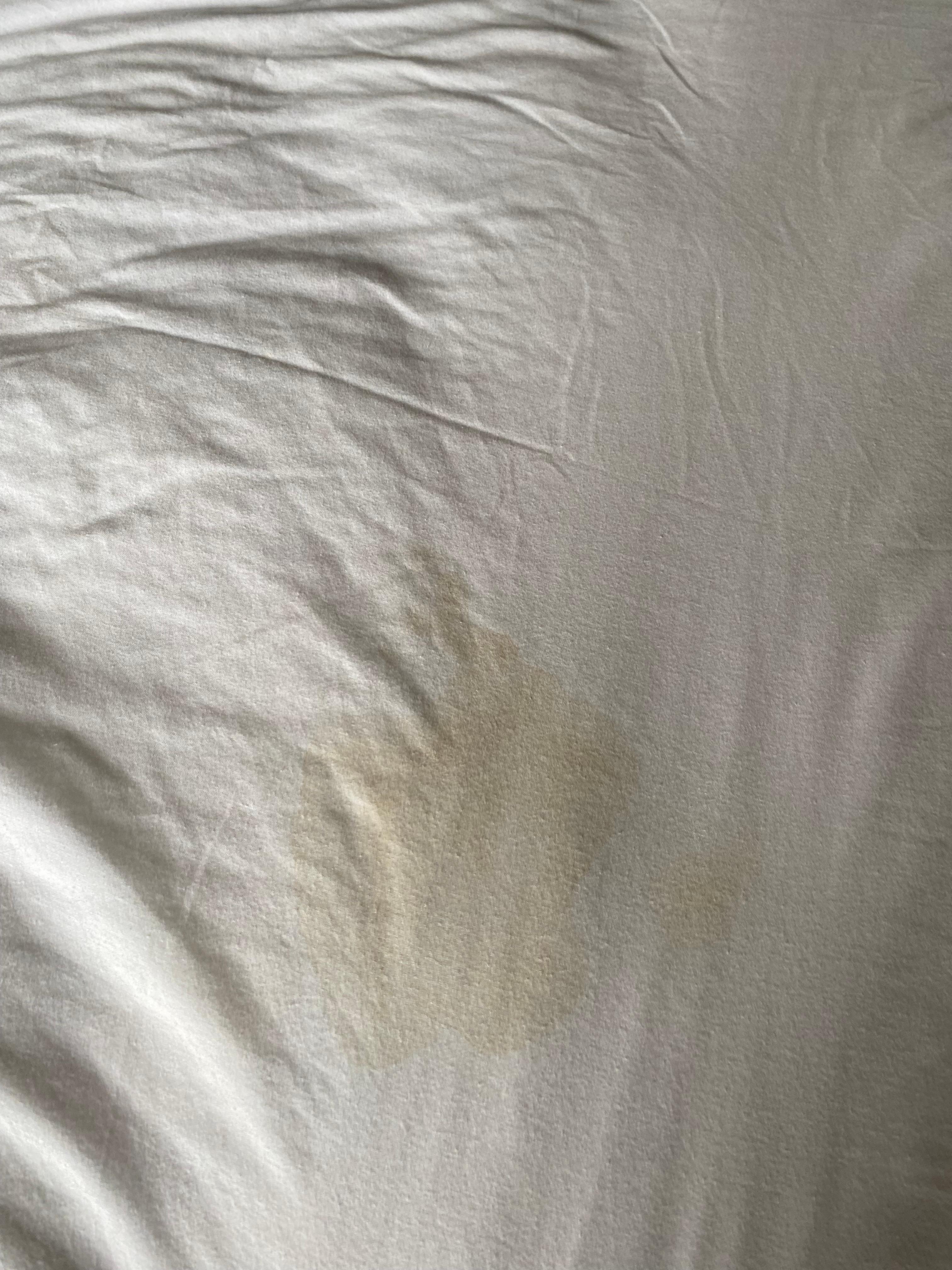 Urine stains