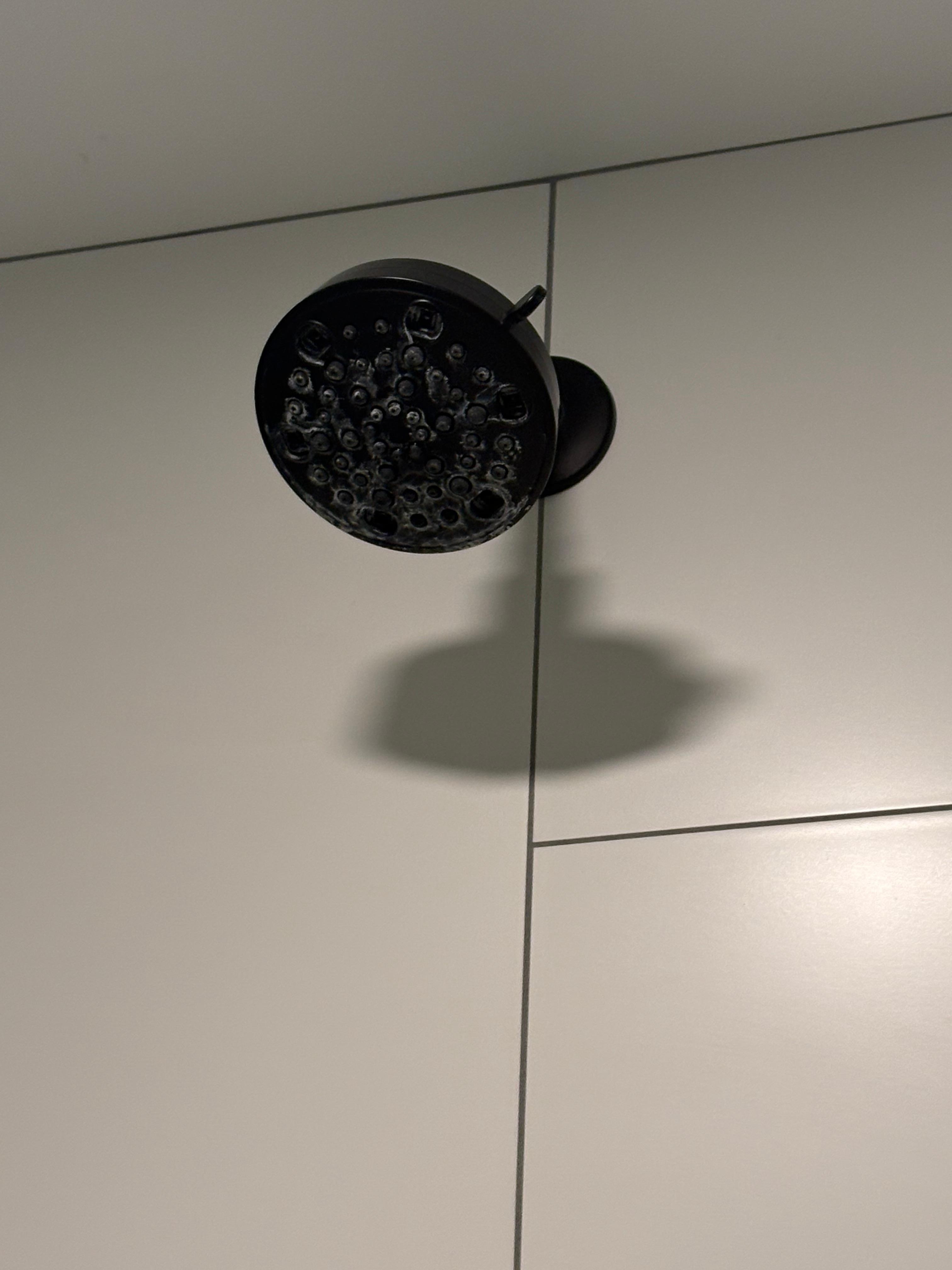 This is part of the build up I was speaking of 