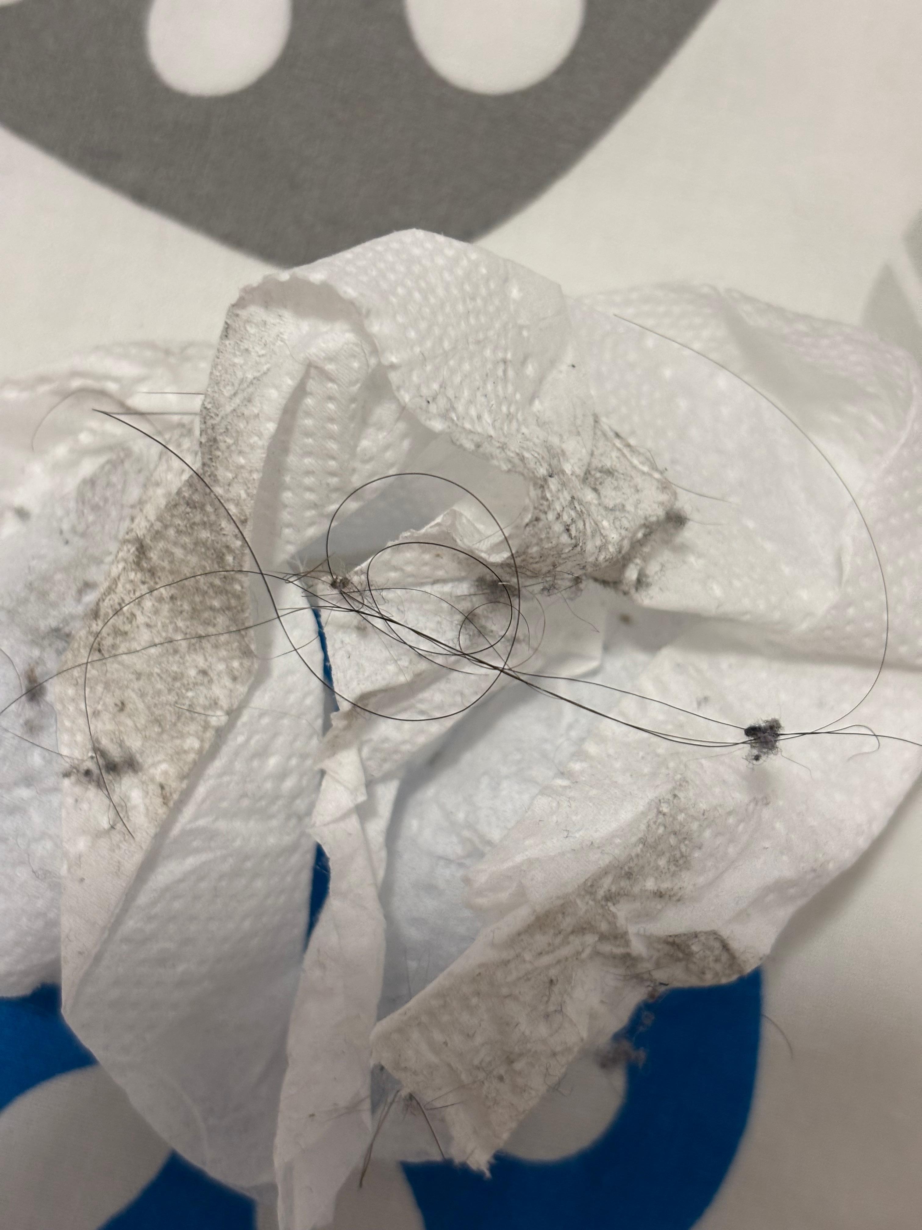 Gathered from behind bathroom door