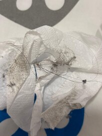 Gathered from behind bathroom door