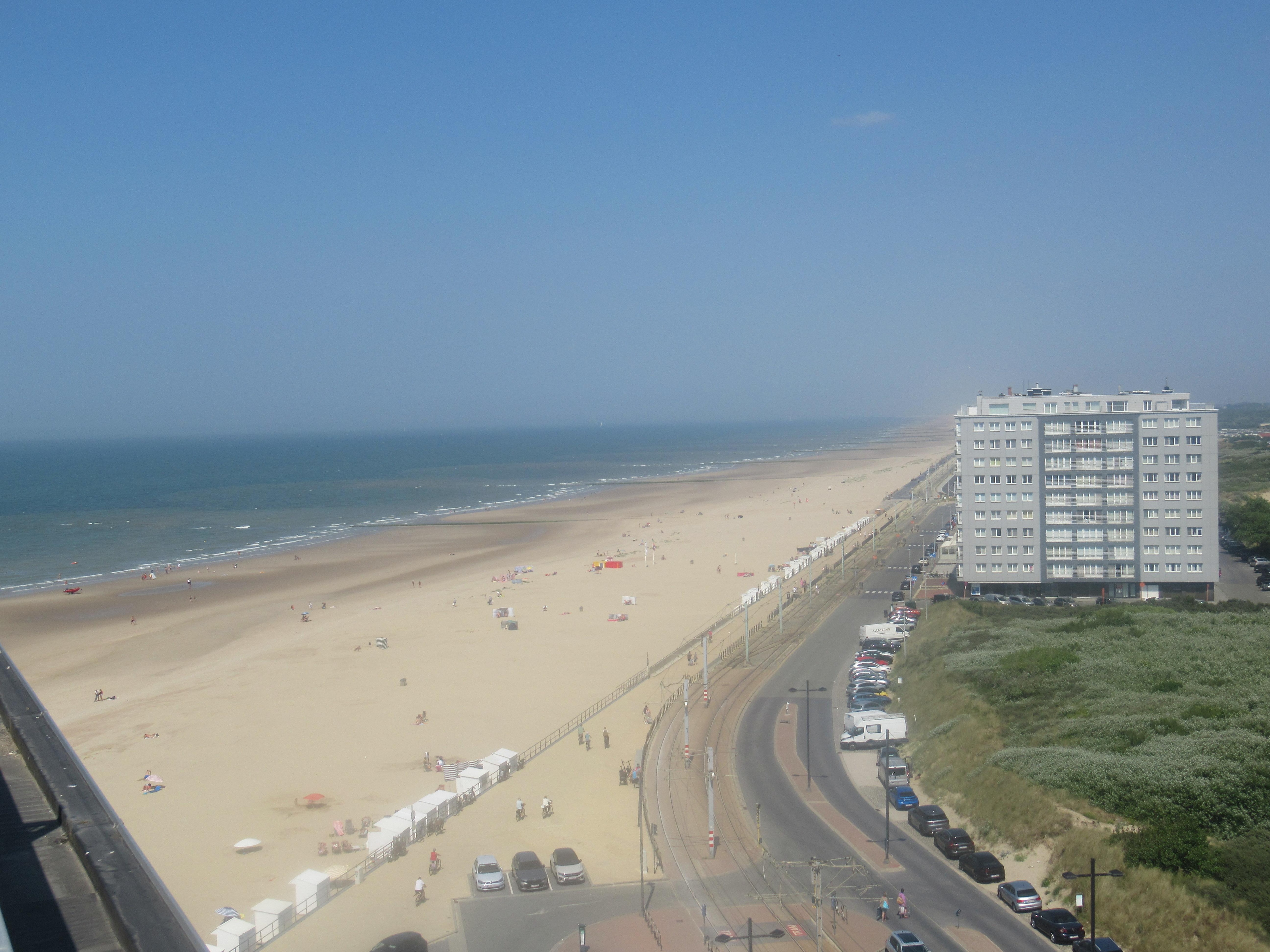 View from room 51 zoom