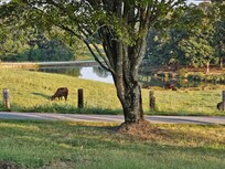 View from the huge front porch
