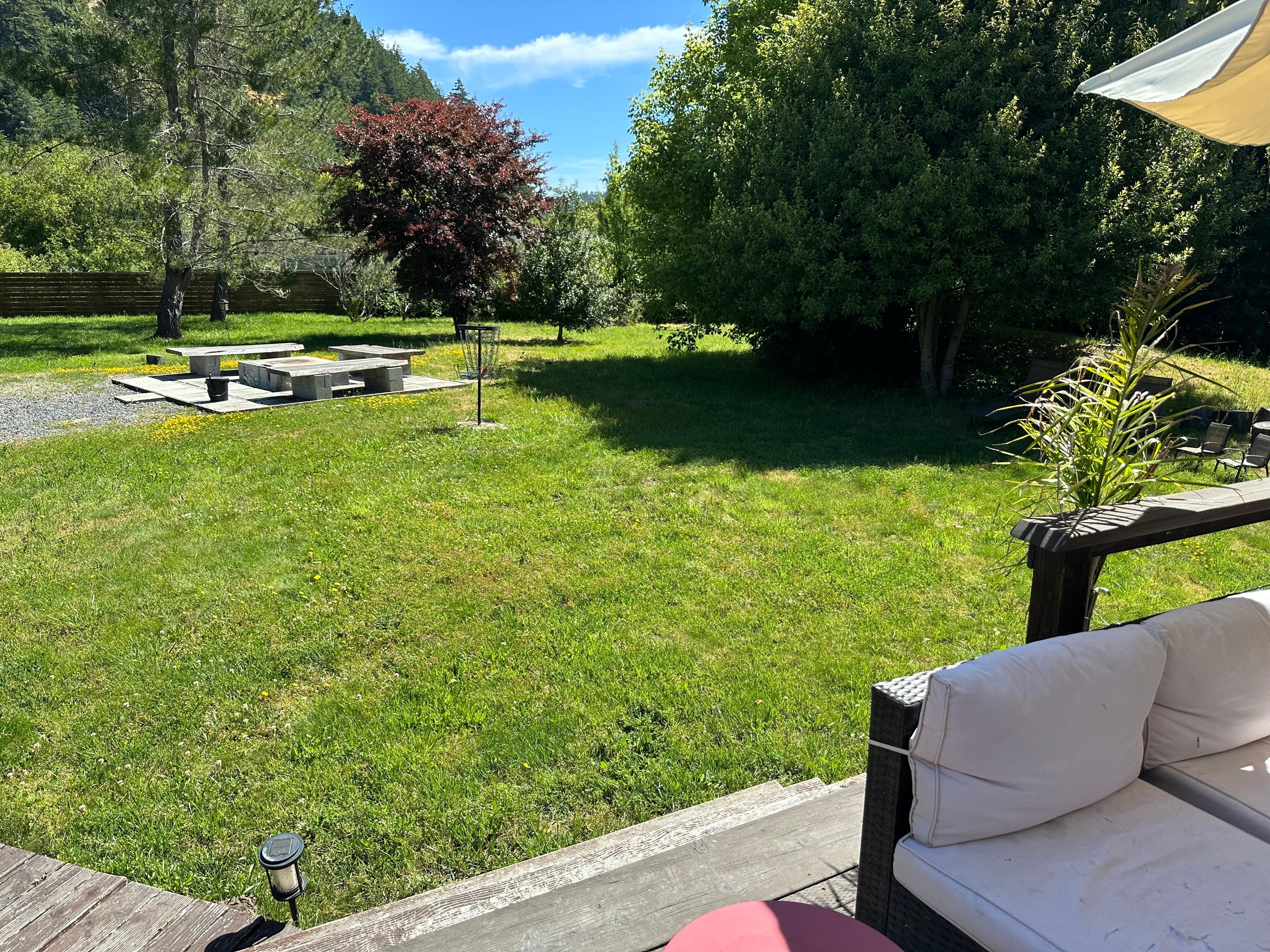Back yard