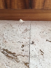 Termite dust