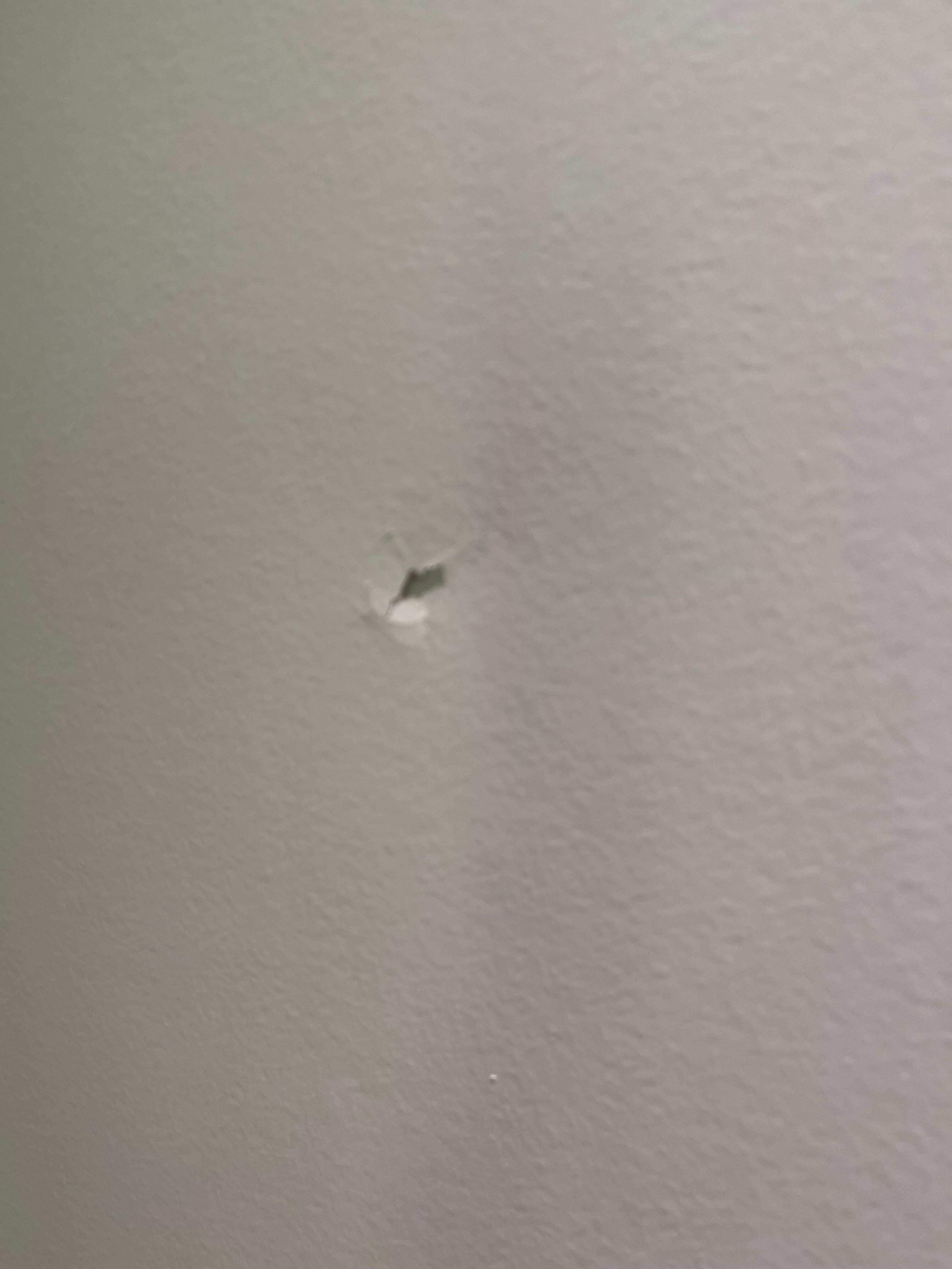 hole in door