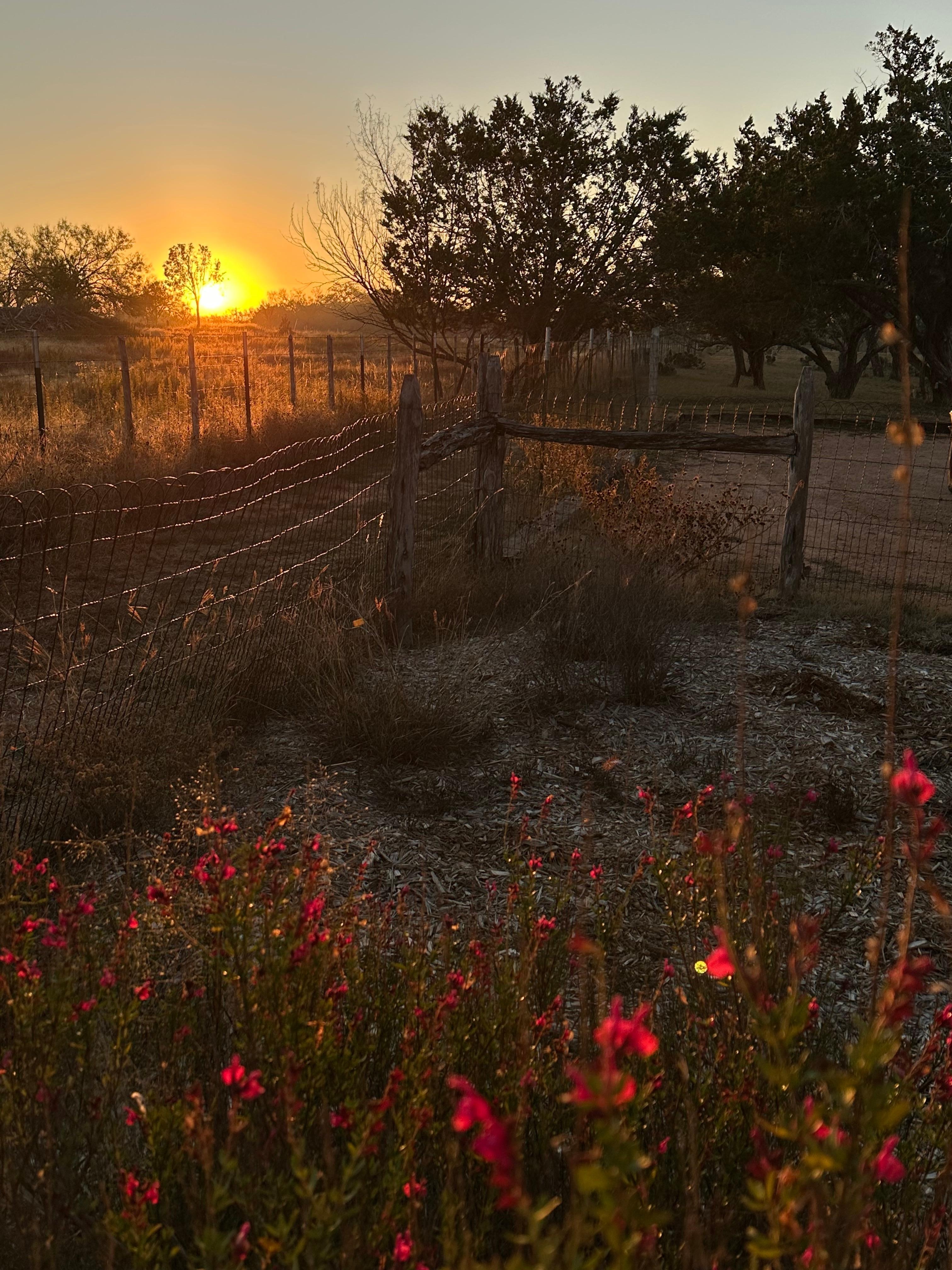 Sunrise off the porch!!!
Breathtaking!!