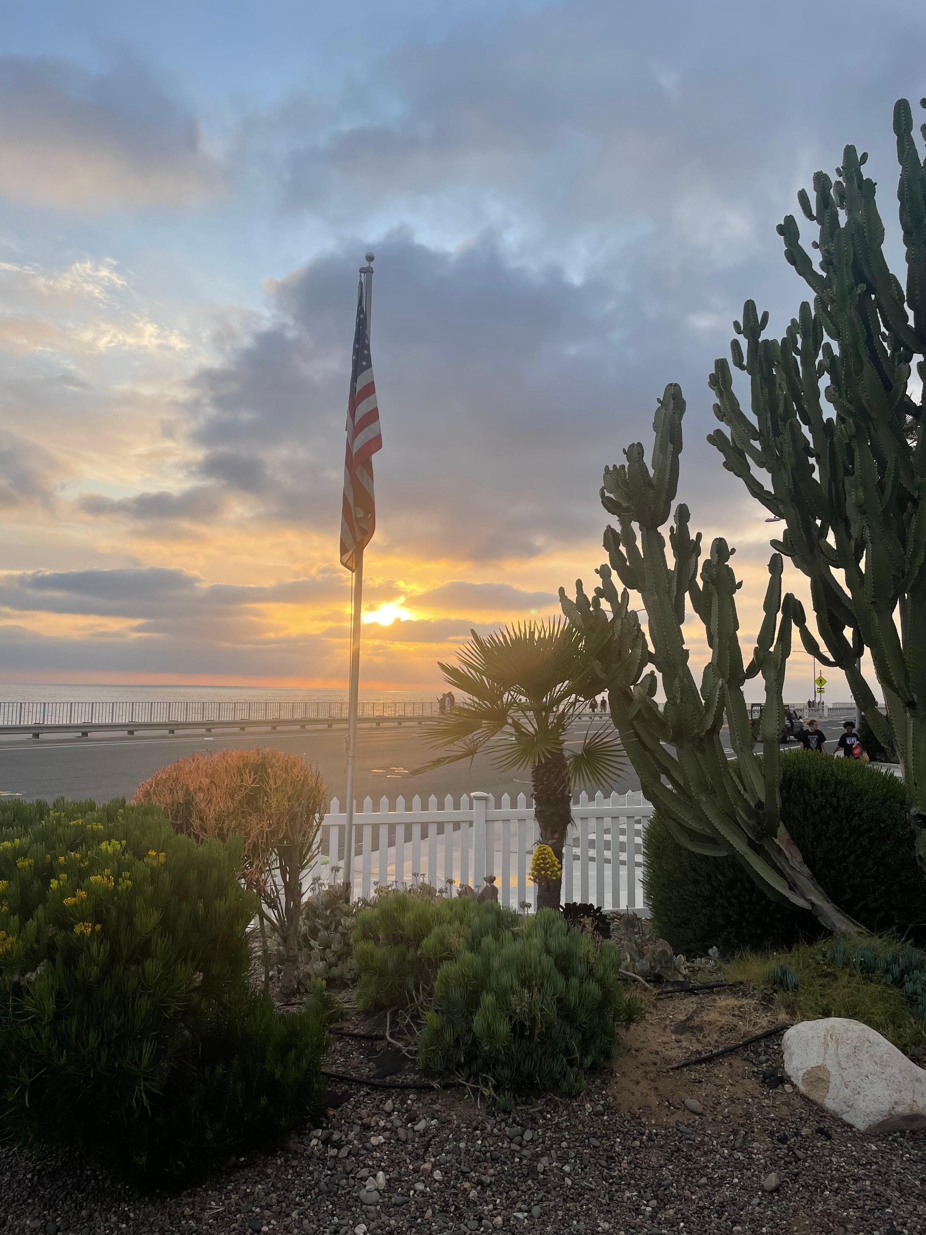 View from the yard 