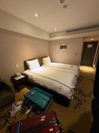 この明るさがマックスなので、窓があっても、天気はわからない。
清潔なのはよかった