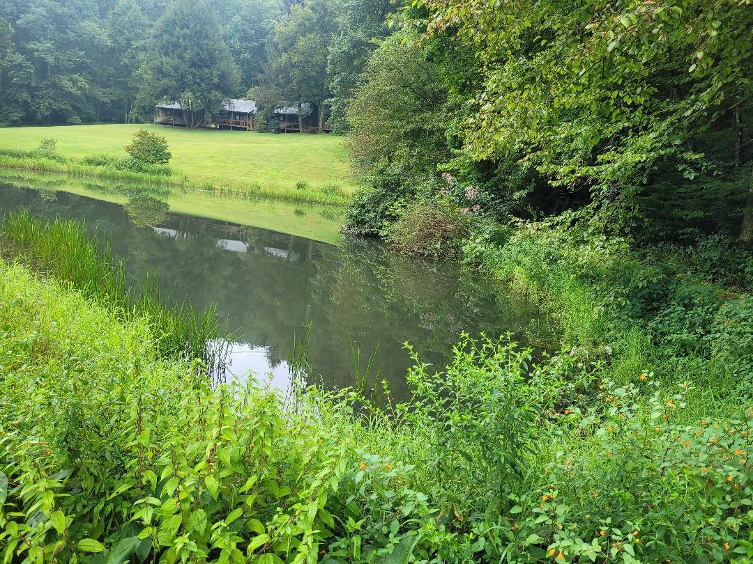 Another view of the lake/pond