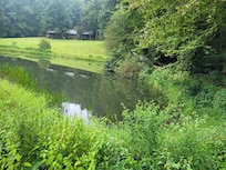 Another view of the lake/pond