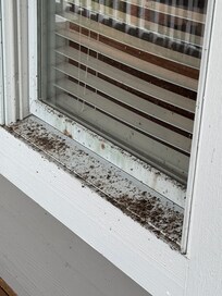 Window ledges on all porches looked like this