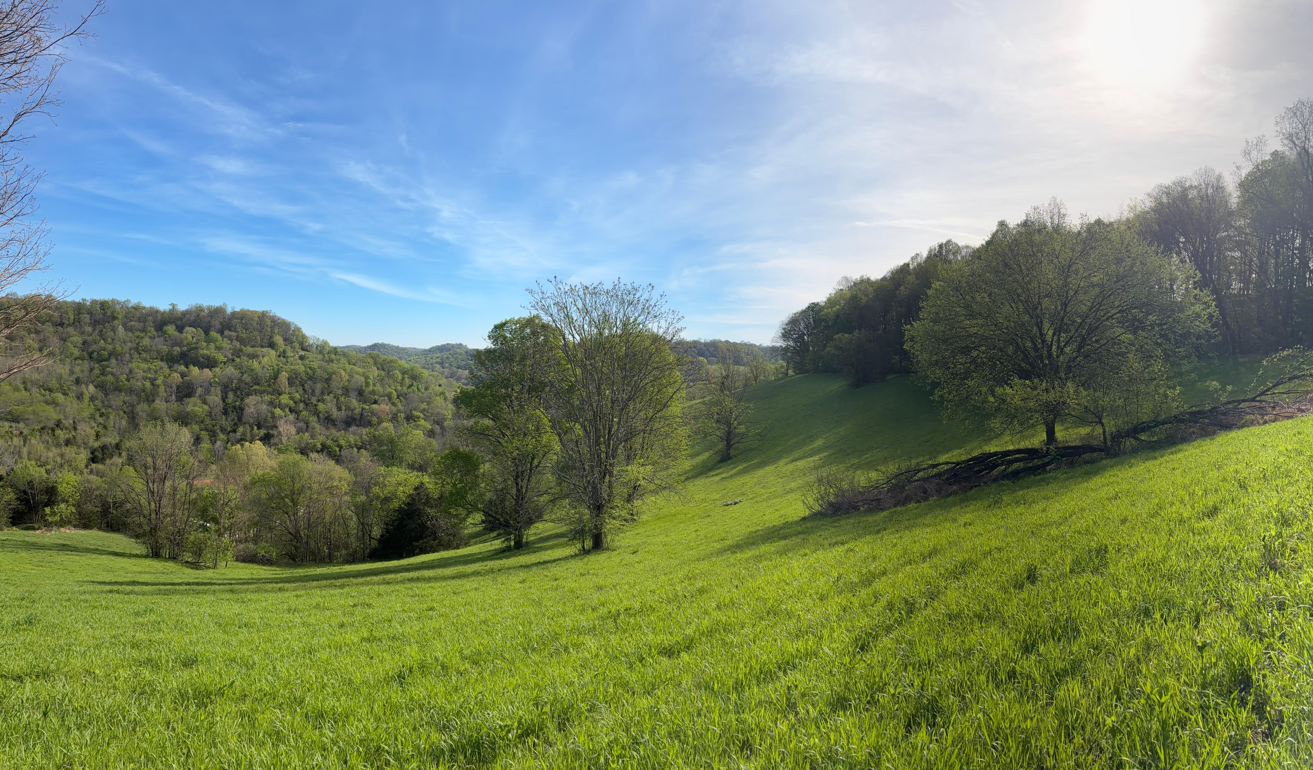 Rolling hills surrounding the Tuscany Inn Tennessee 