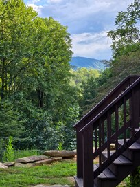 View from driveway