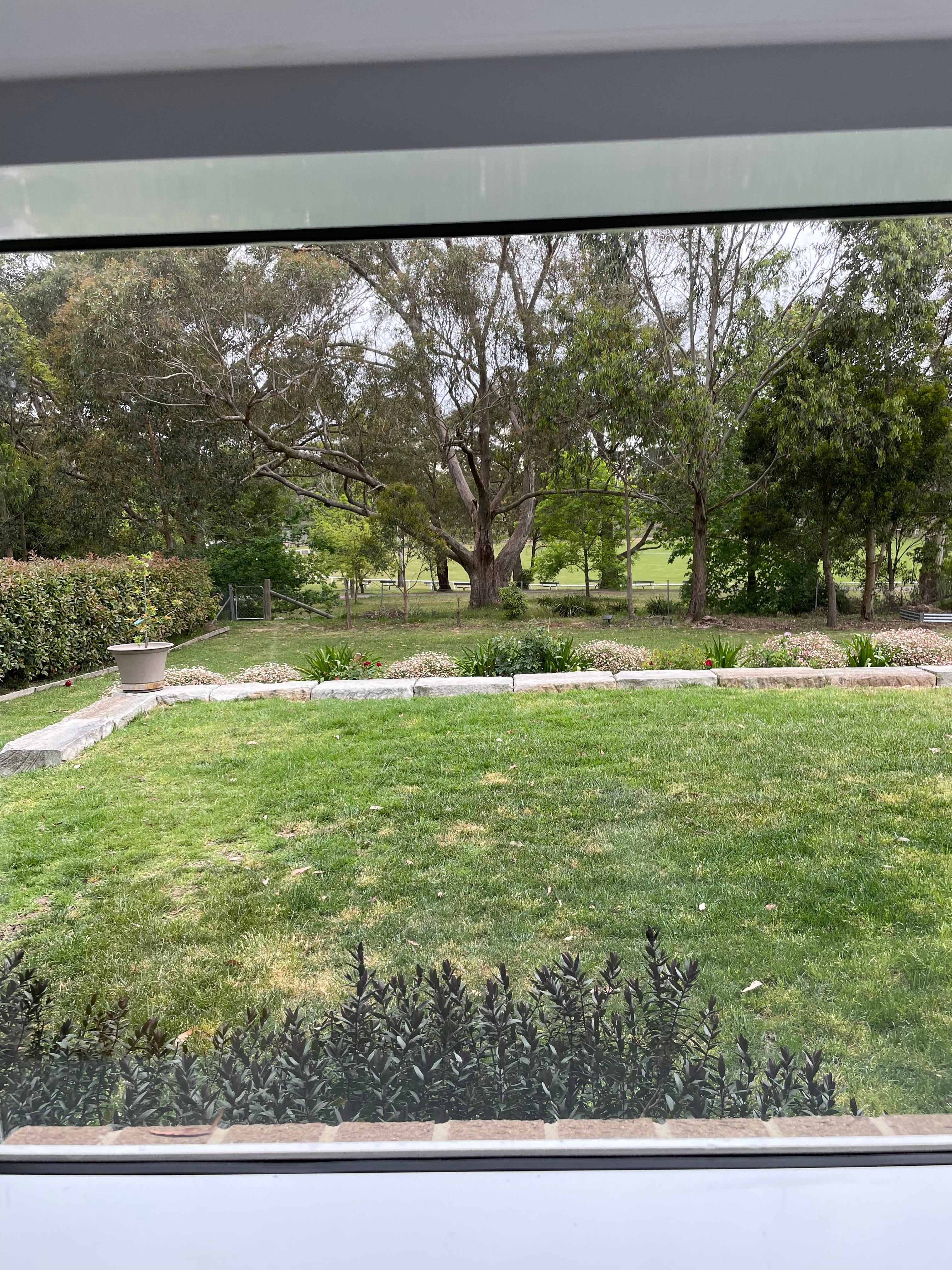 View from kitchen and other shared areas across backyard to oval adjacent.