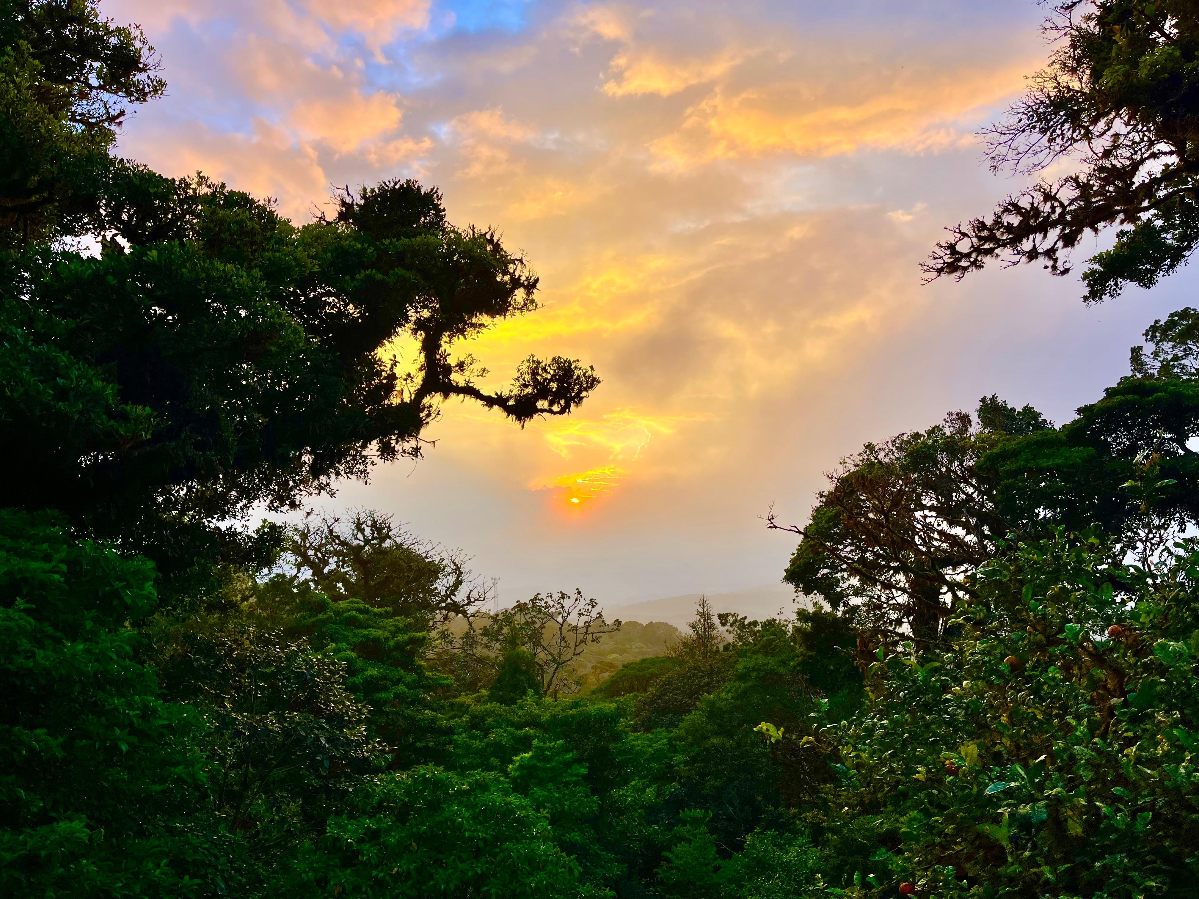 Sunset from the property