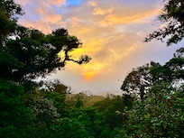 Sunset from the property