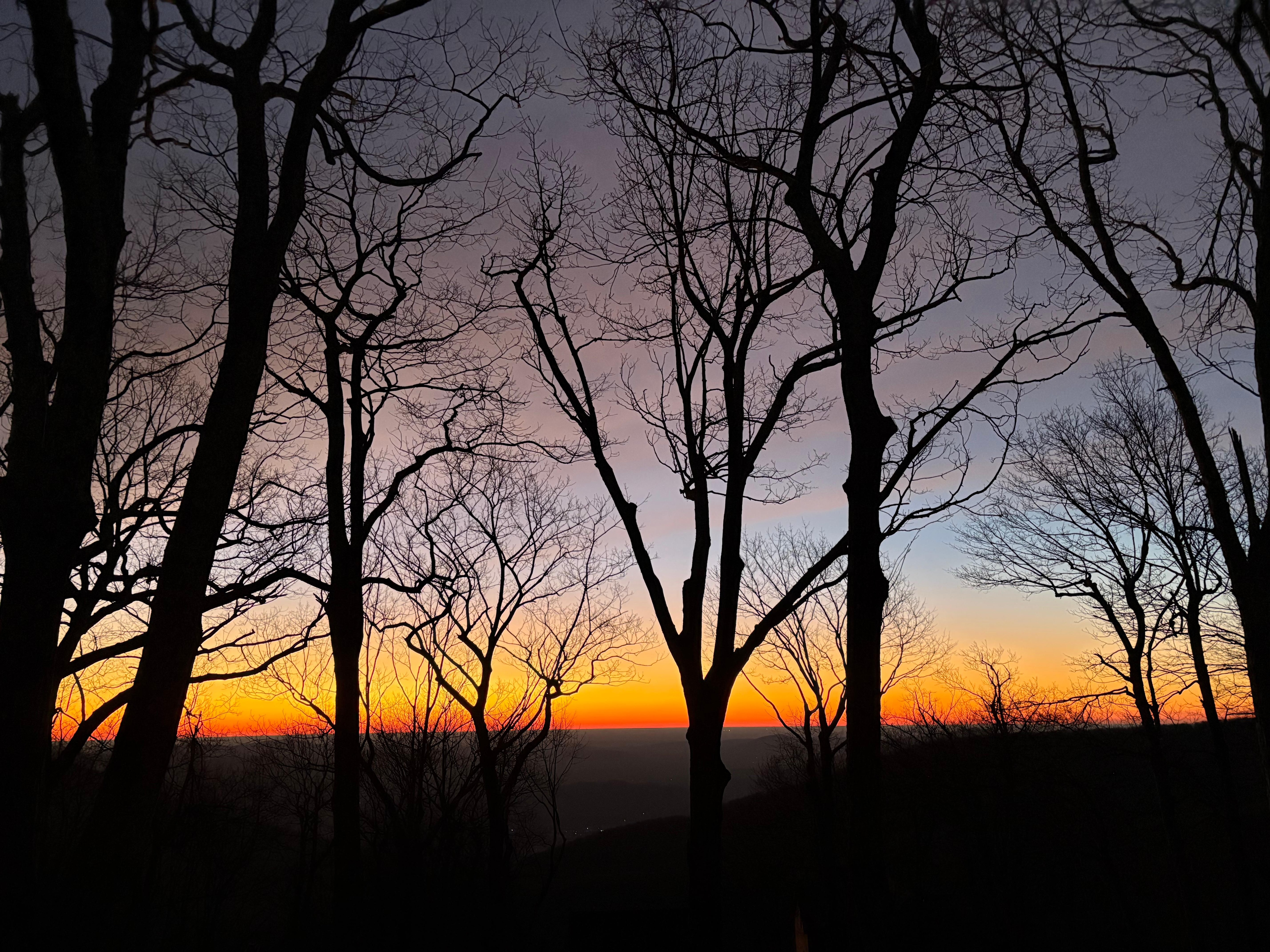 View from main floor deck