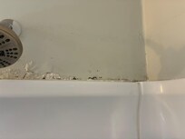 Black mold over shower enclosure