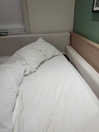 The mattress pad had blood on it. They only replace sheet not the bedding