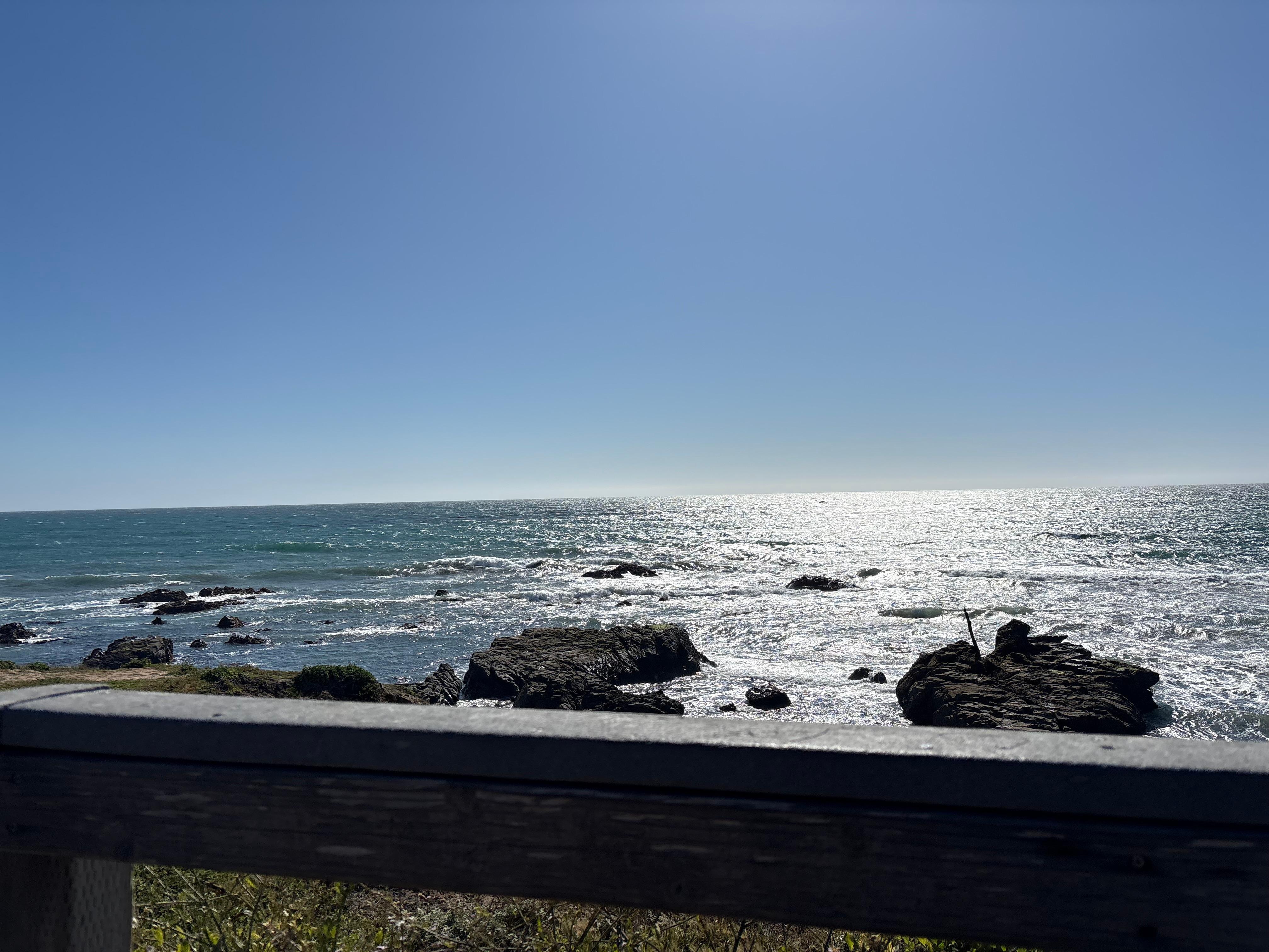 Daily walks and drives were amazing!