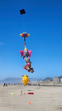 Kite Festival