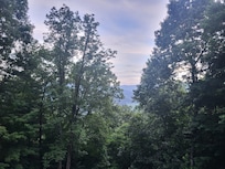 View from back porch