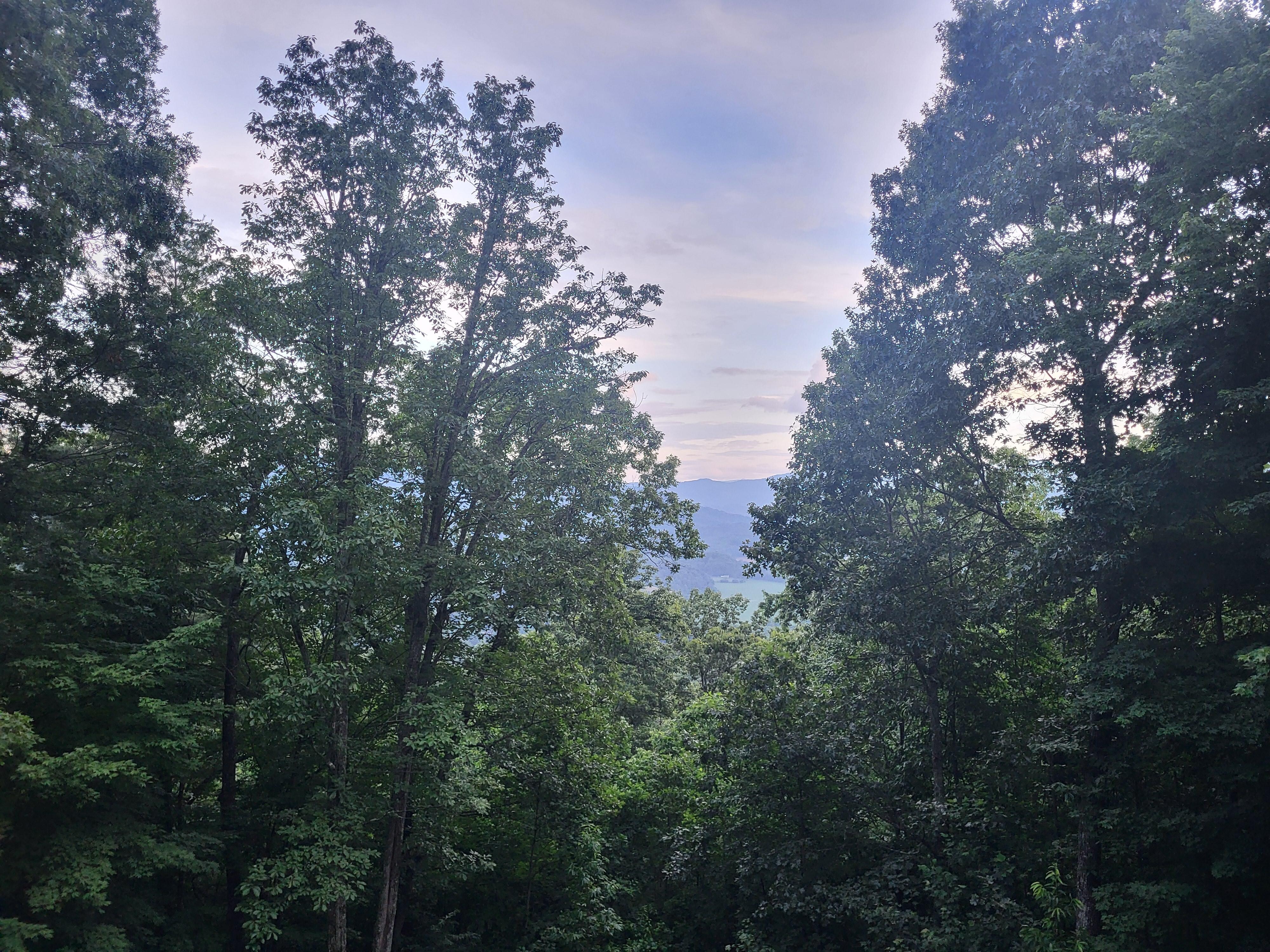 View from back porch